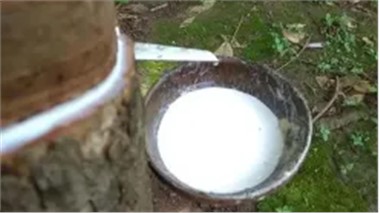 高分子微球的应用与热射流球化技术解析